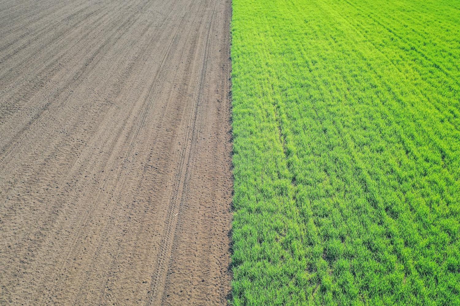 regenerative agriculture